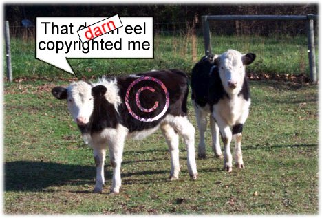 COPYRIGHT